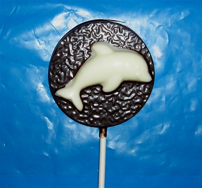 Chocolate Dolphin Pop