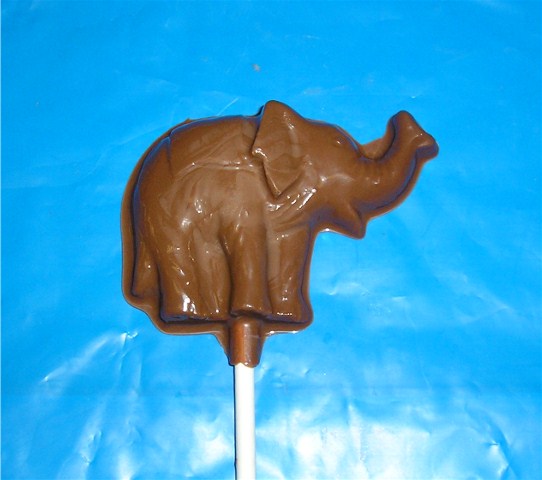 Chocolate Elephant Pop