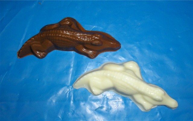 Chocolate Alligator