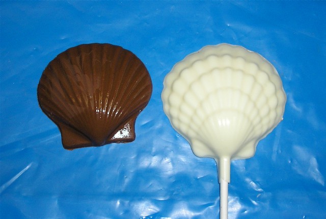 Chocolate Scallop Seashell