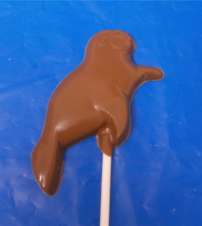 Chocolate Seal Pop