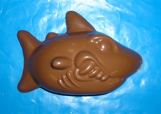 Chocolate Shark