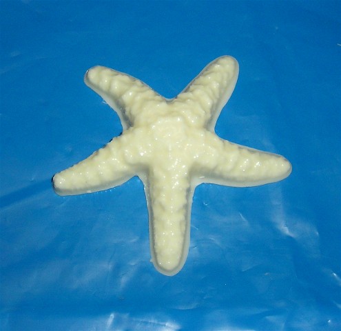 Chocolate Starfish