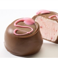 Strawberry Truffle