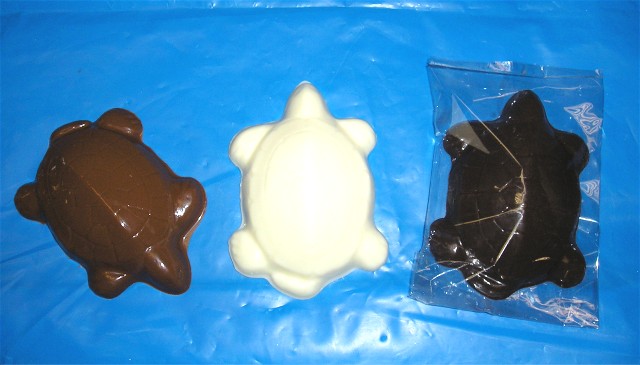 Chocolate Turtle