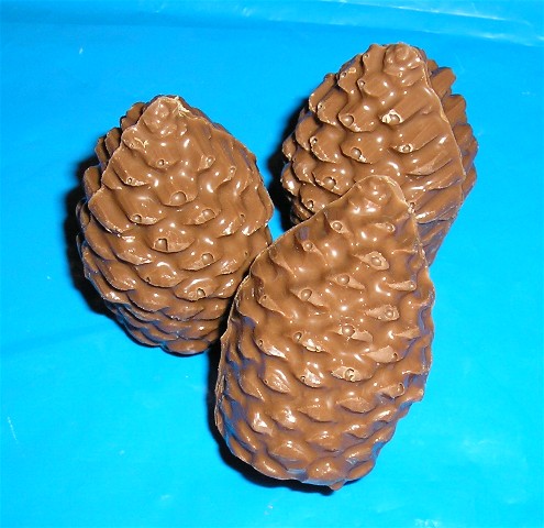 Chocolate Pine Cones