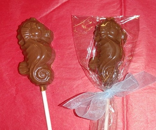 Chocolate Seahorse Pop